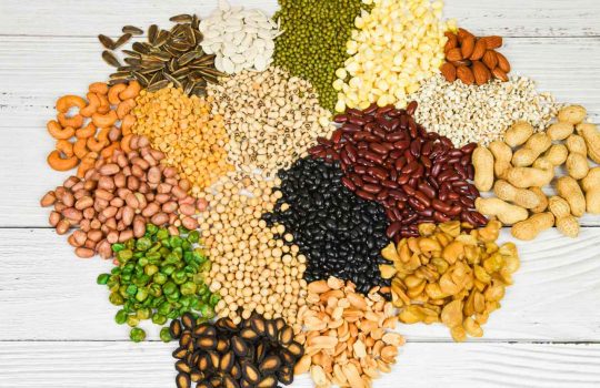 Legumes2
